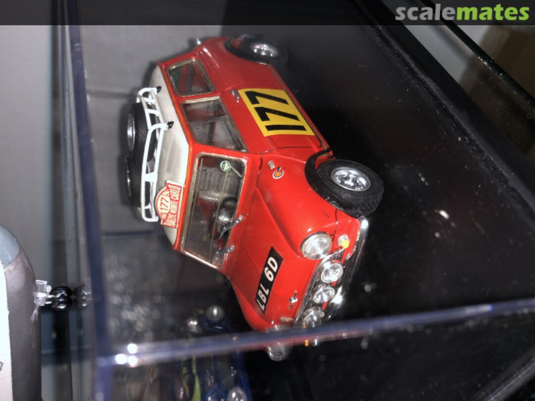 View album, image #13 View album, image #13