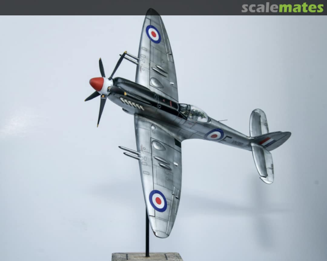 View album, image #13