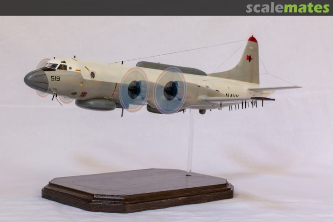 View album, image #1