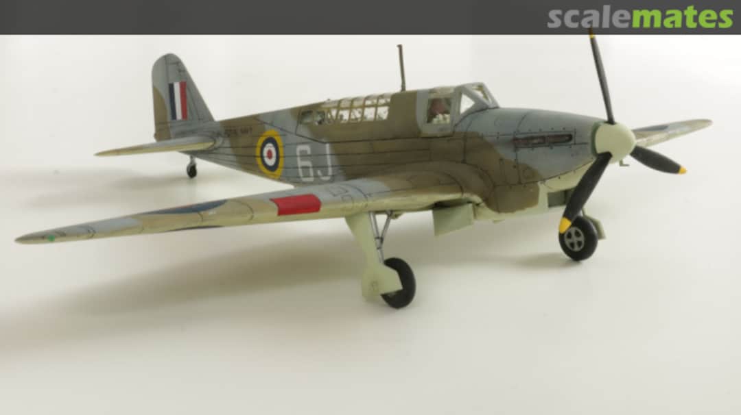 View album, image #43 View album, image #43