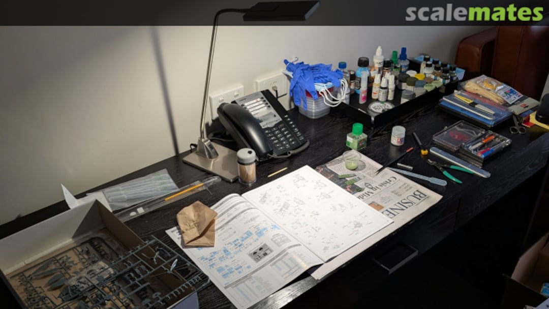 View album, image #1 View album, image #1