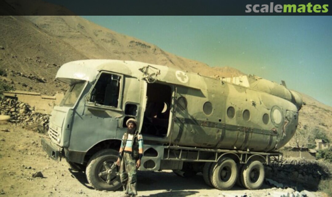 View album, image #1 View album, image #1