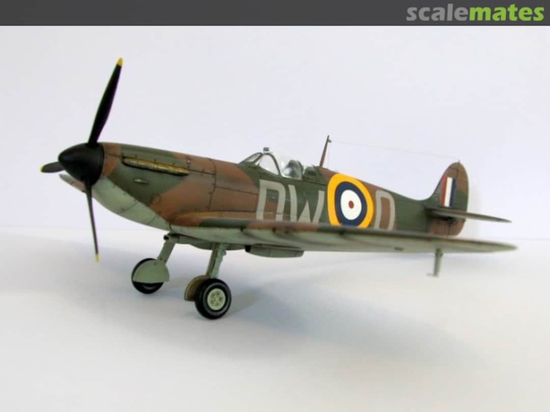 View album, image #4 View album, image #4