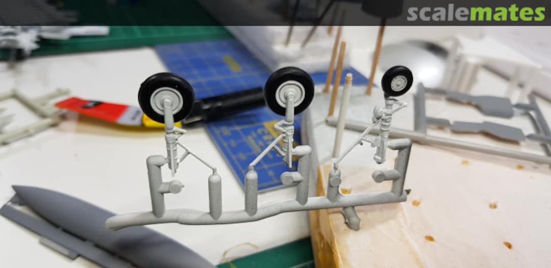 View album, image #1