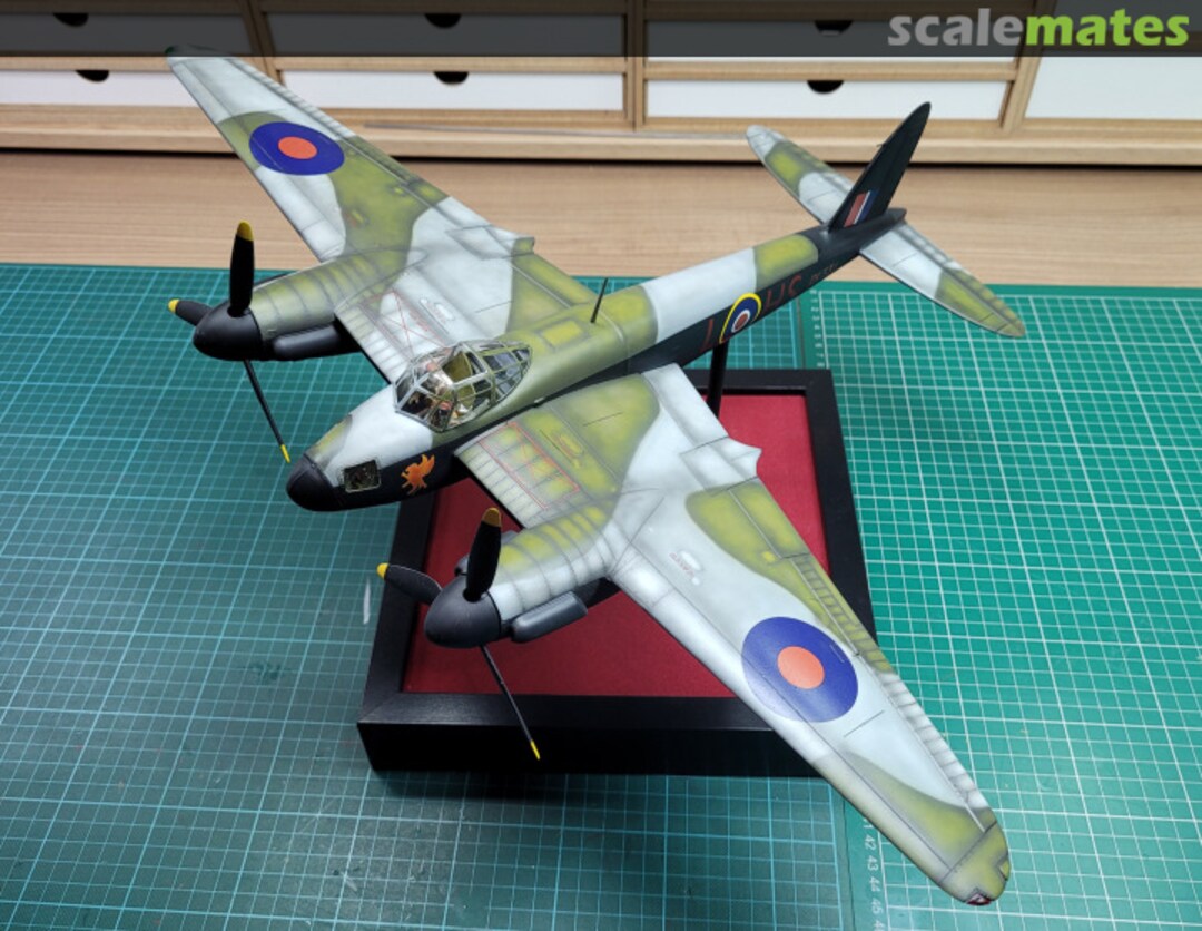 View album, image #48 View album, image #48