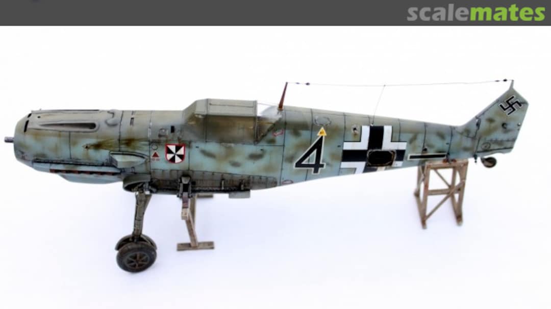 View album, image #43 View album, image #43