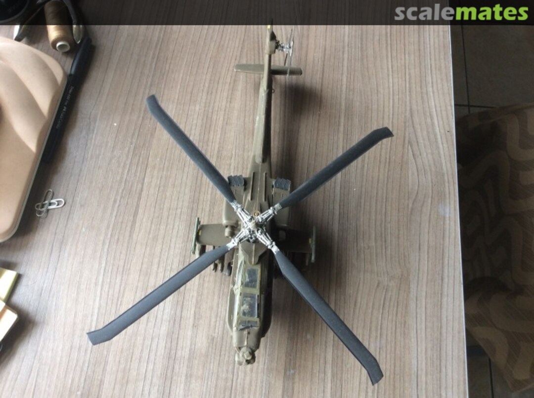 View album, image #1 View album, image #1