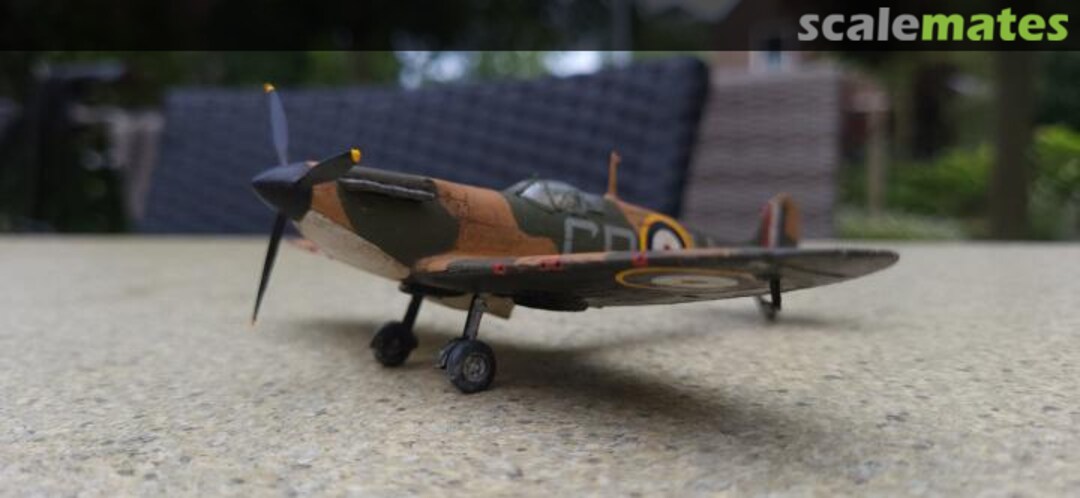 View album, image #5 View album, image #5