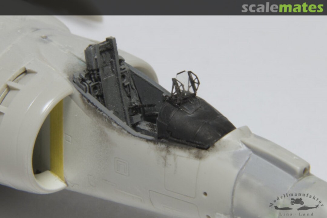 View album, image #41 View album, image #41