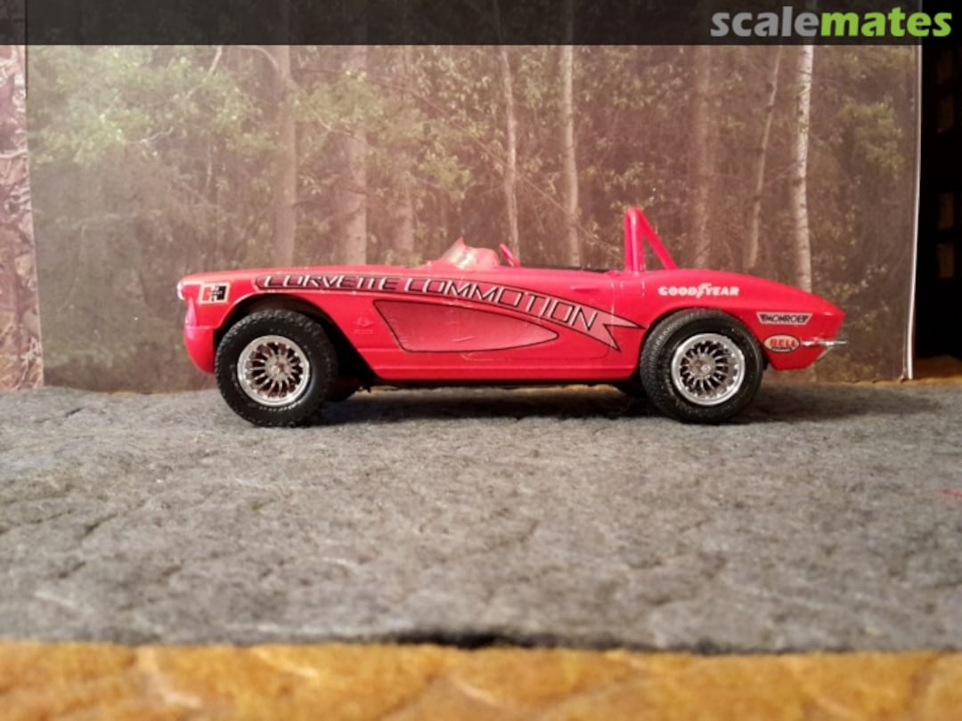 View album, image #1 View album, image #1