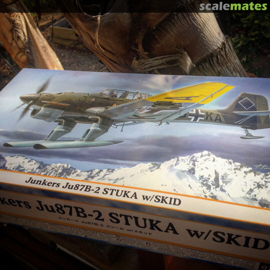 View album, image #1 View album, image #1