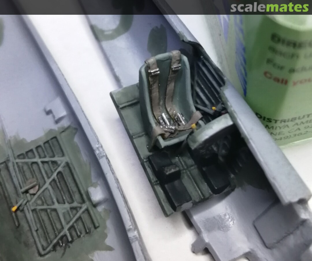 View album, image #1 View album, image #1