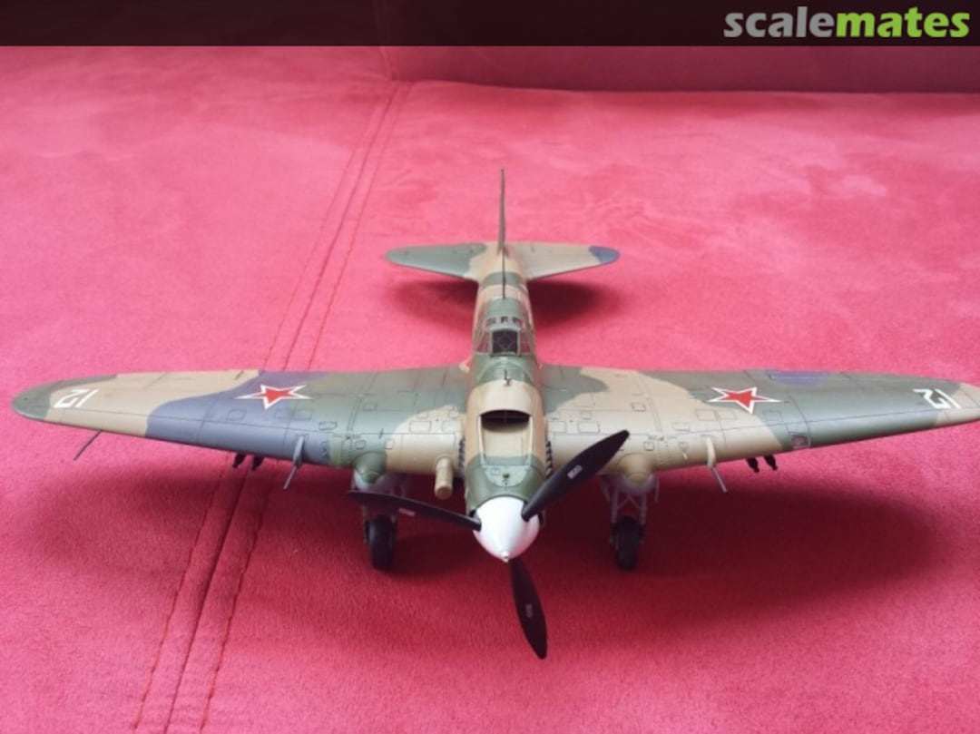 View album, image #1