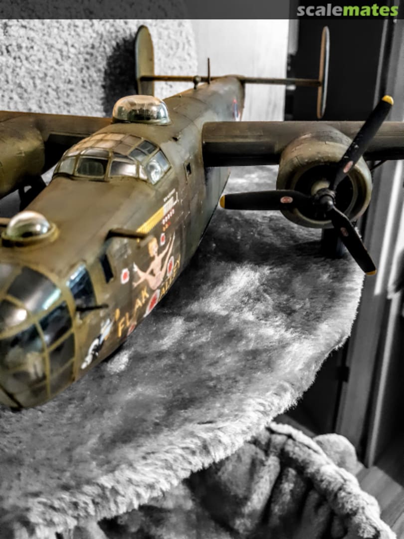 View album, image #1