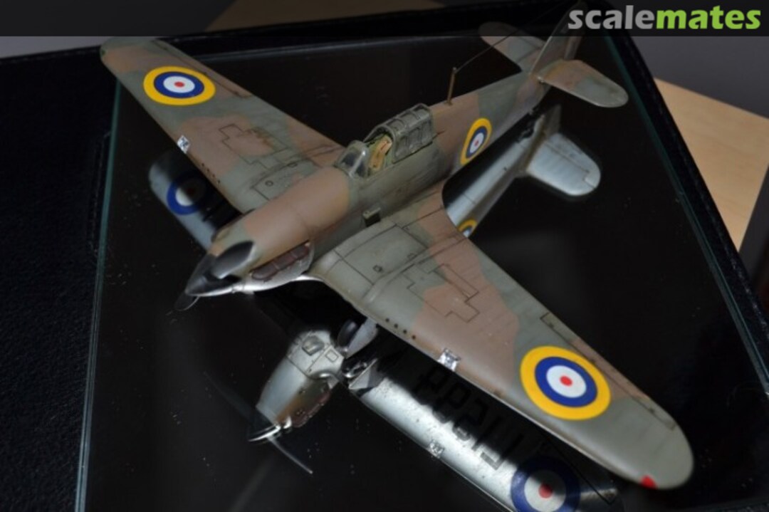 View album, image #11