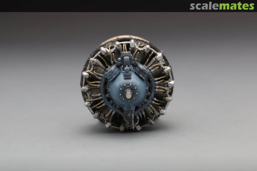 View album, image #1 View album, image #1