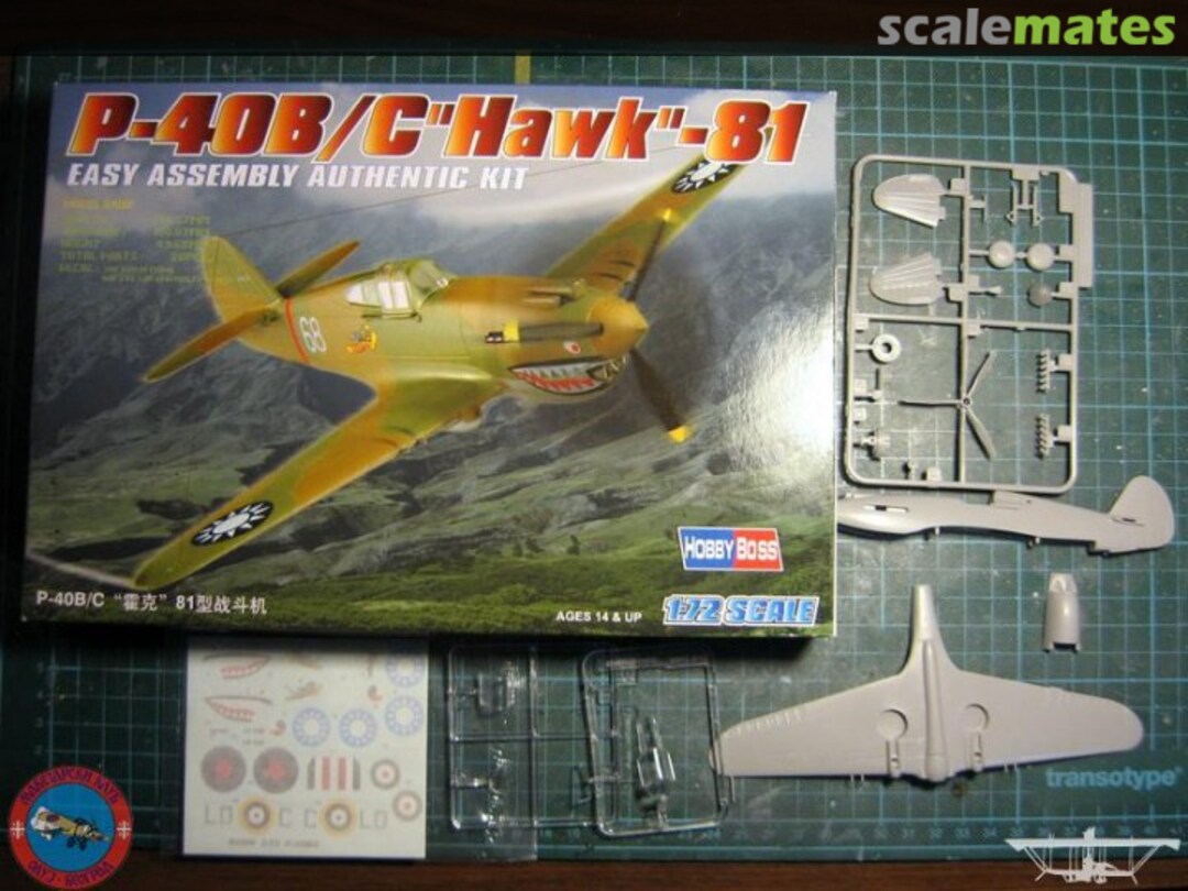 View album, image #1 View album, image #1