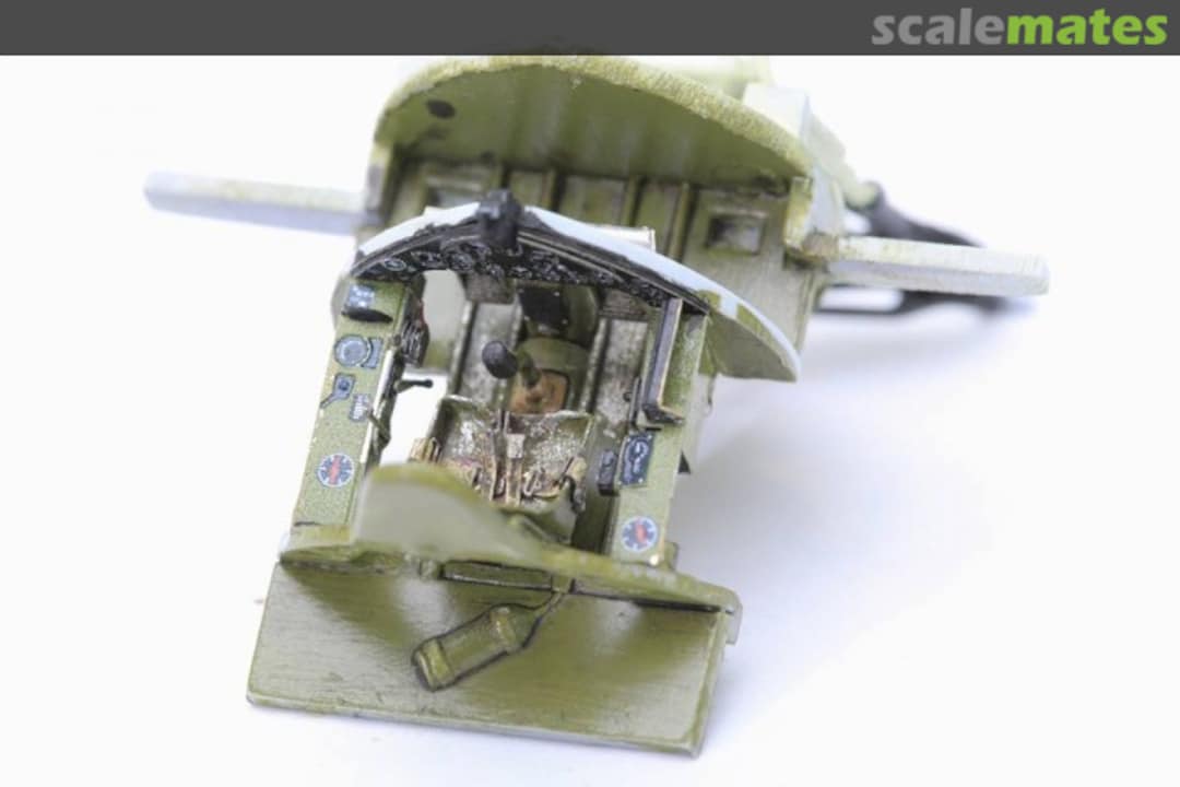 View album, image #1 View album, image #1