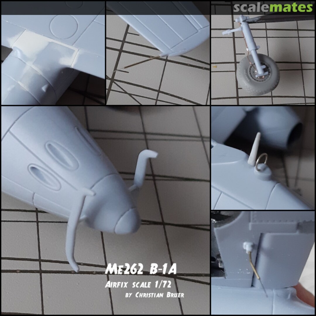 View album, image #8 View album, image #8