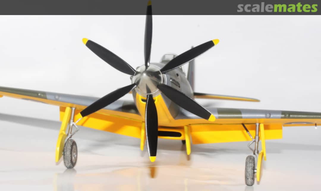 View album, image #1