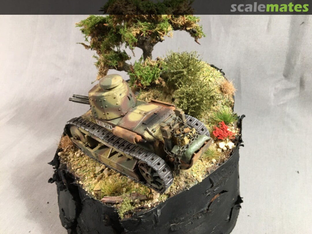 View album, image #1 View album, image #1