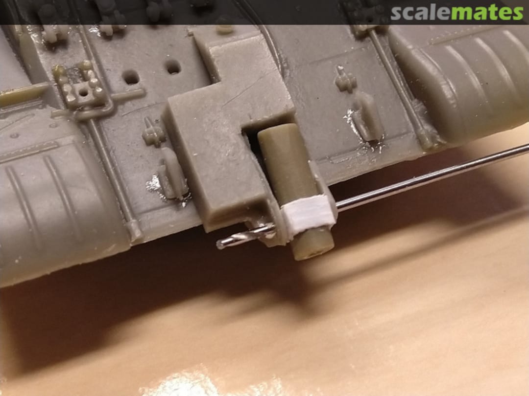 View album, image #48 View album, image #48