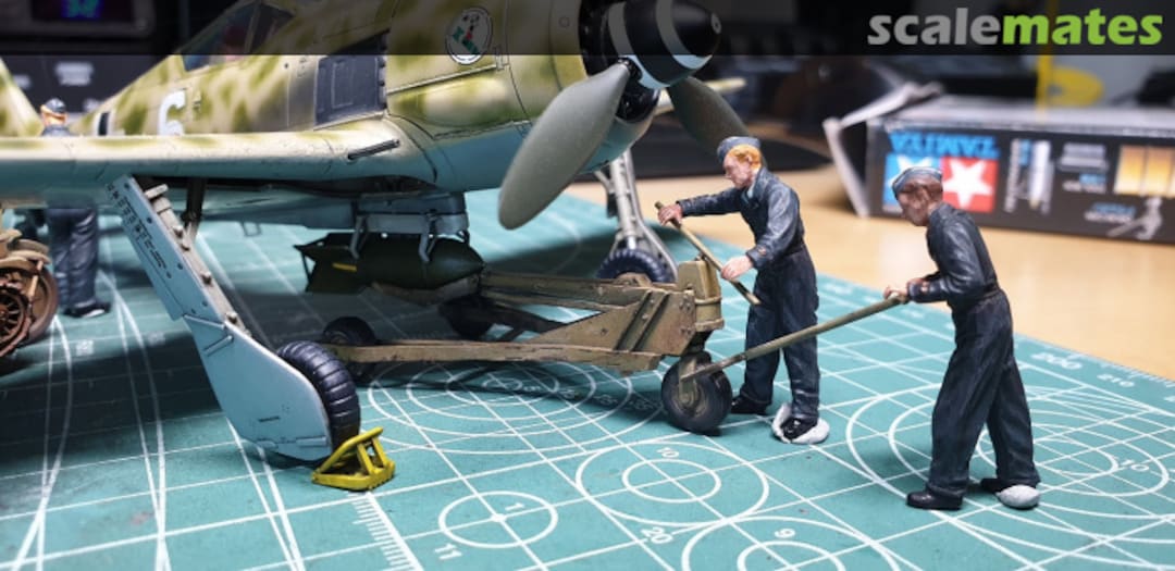 View album, image #30 View album, image #30