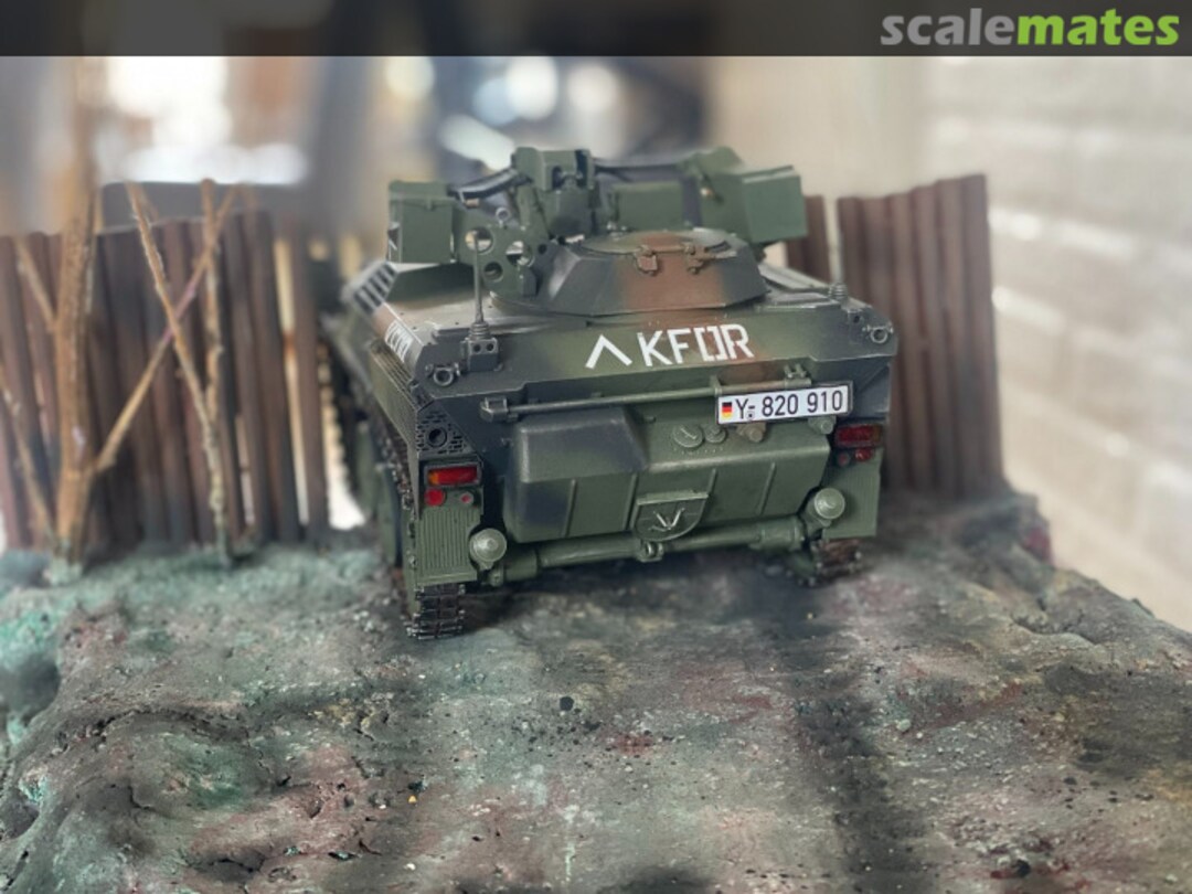 View album, image #29