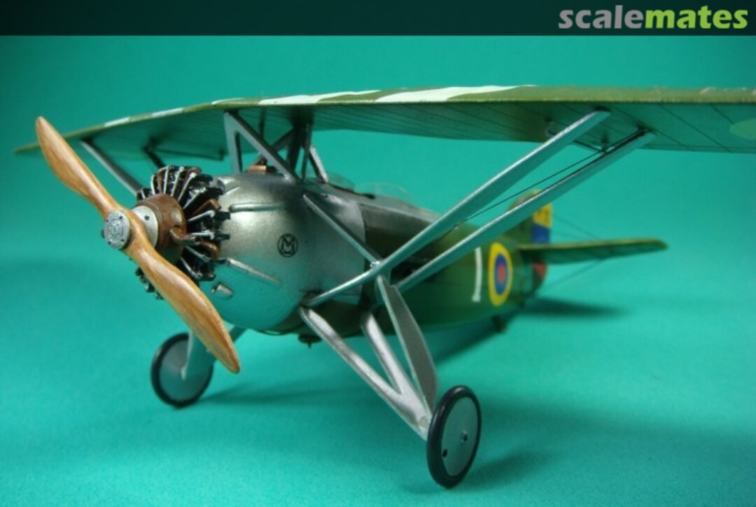 View album, image #1 View album, image #1