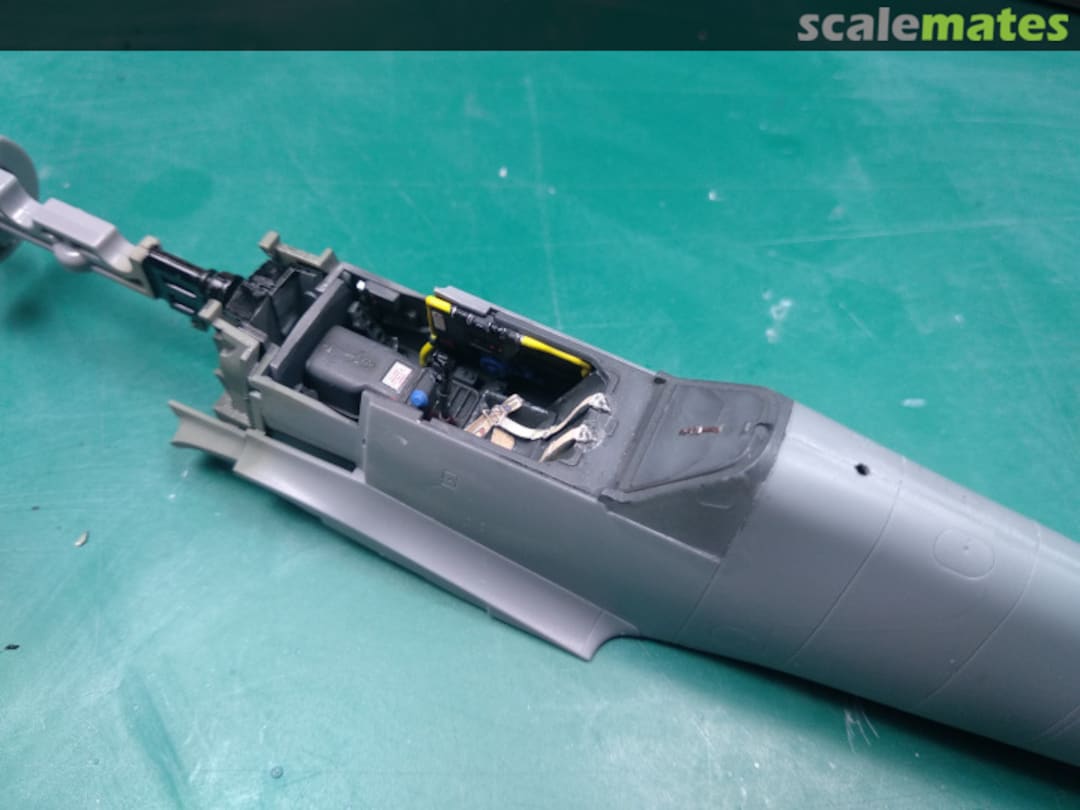 View album, image #1 View album, image #1