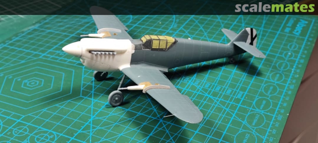 View album, image #4 View album, image #4