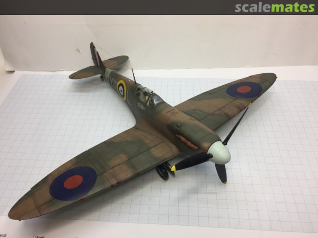 View album, image #14