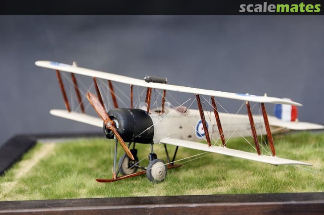 View album, image #1 View album, image #1