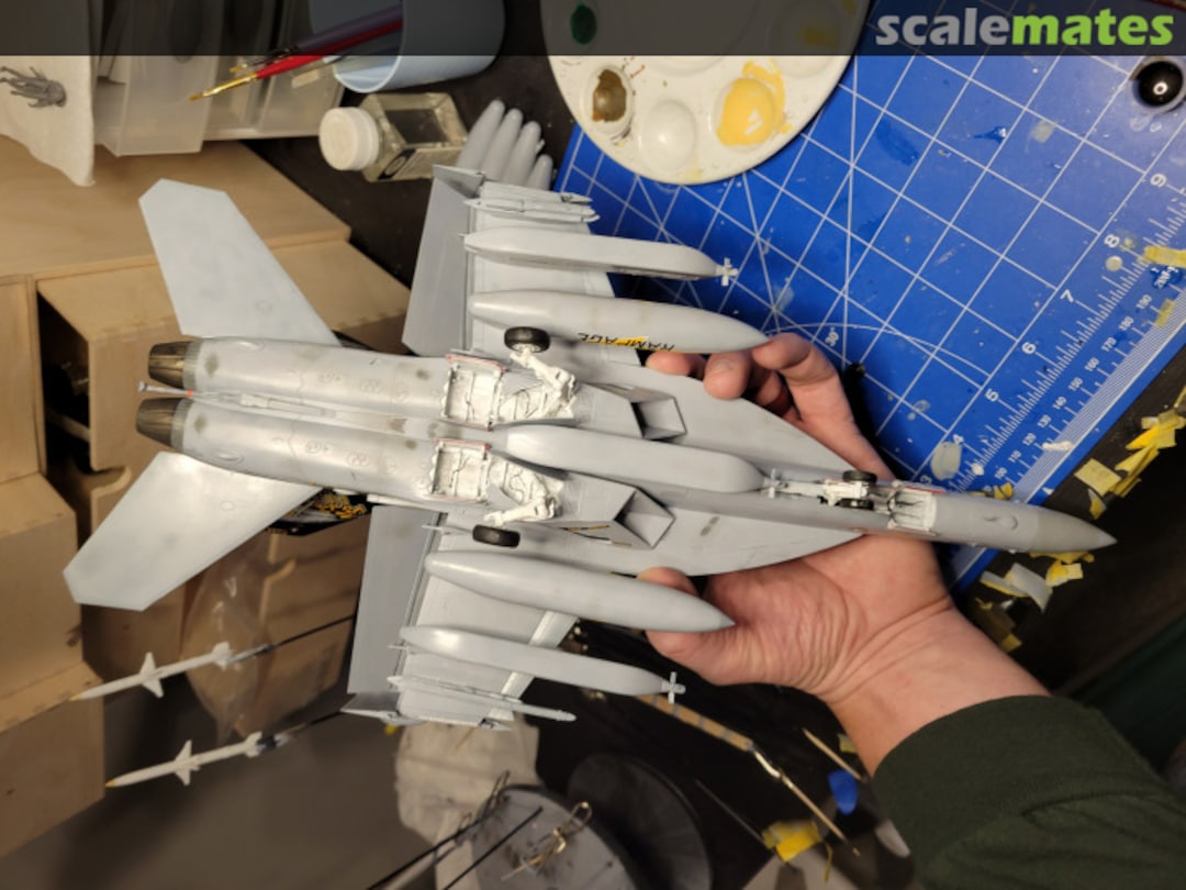 View album, image #1 View album, image #1