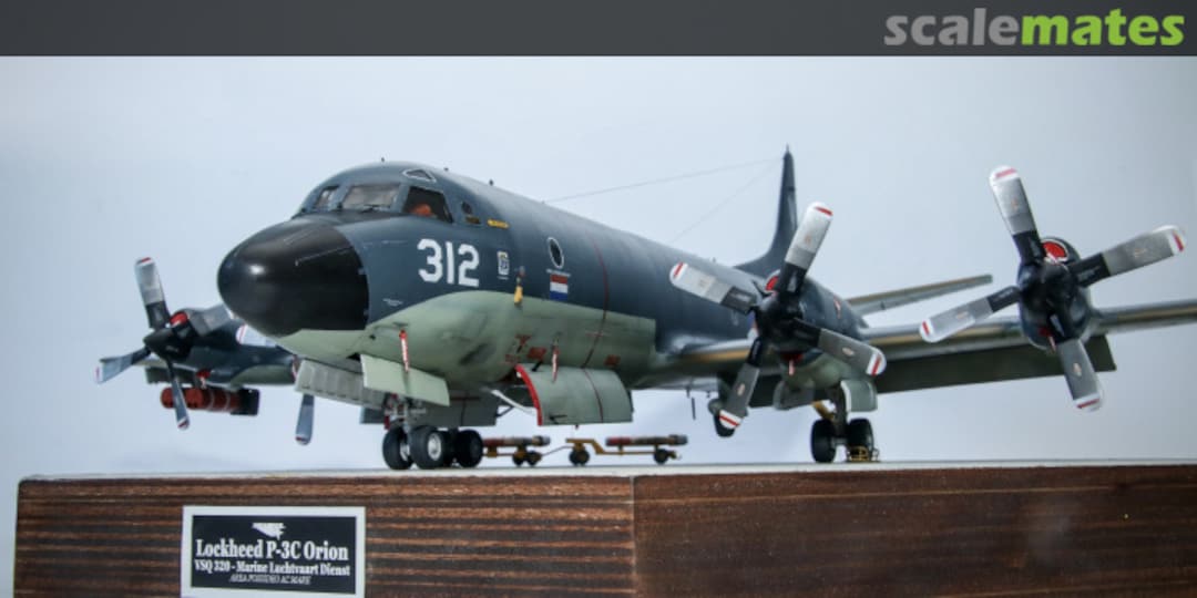 View album, image #11 View album, image #11