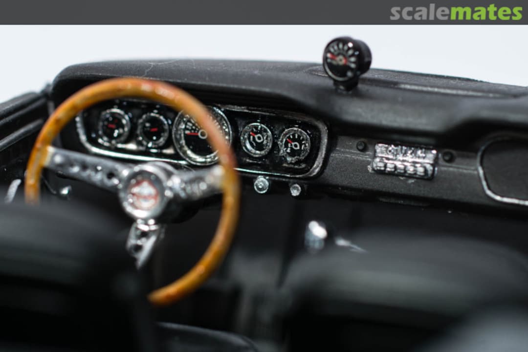 View album, image #1 View album, image #1