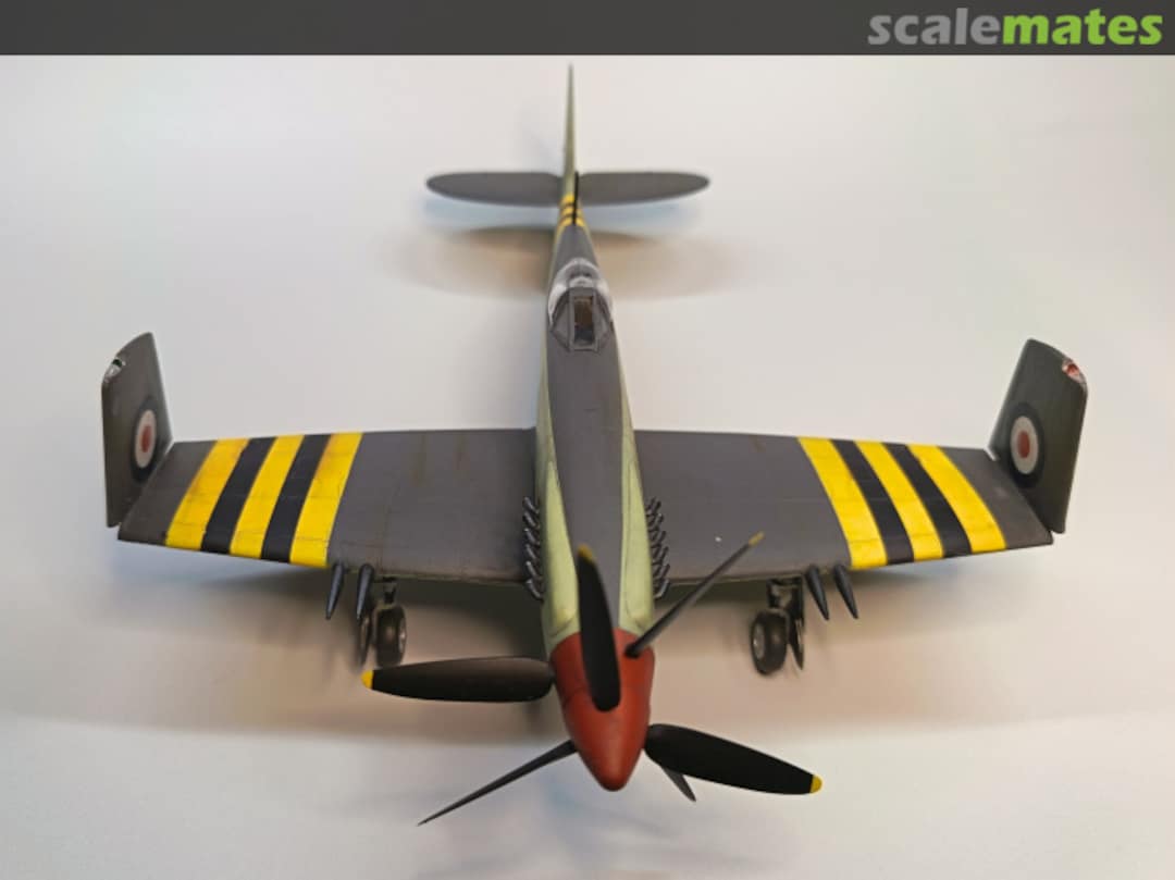 View album, image #1