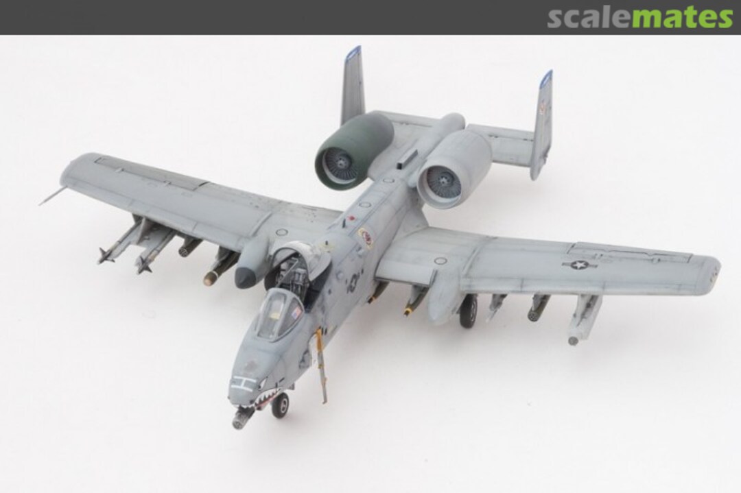 View album, image #7 View album, image #7