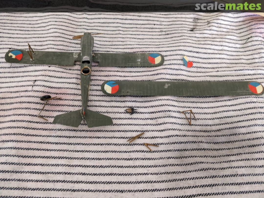 View album, image #1 View album, image #1