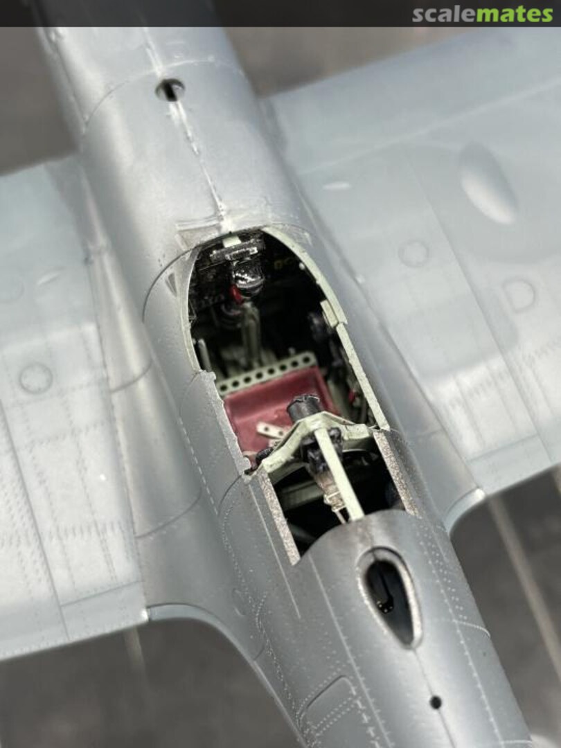 View album, image #1