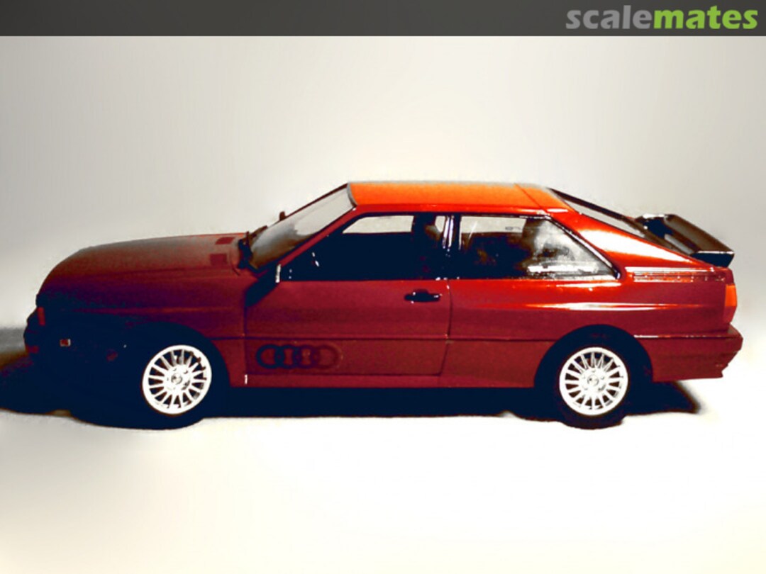 View album, image #1 View album, image #1