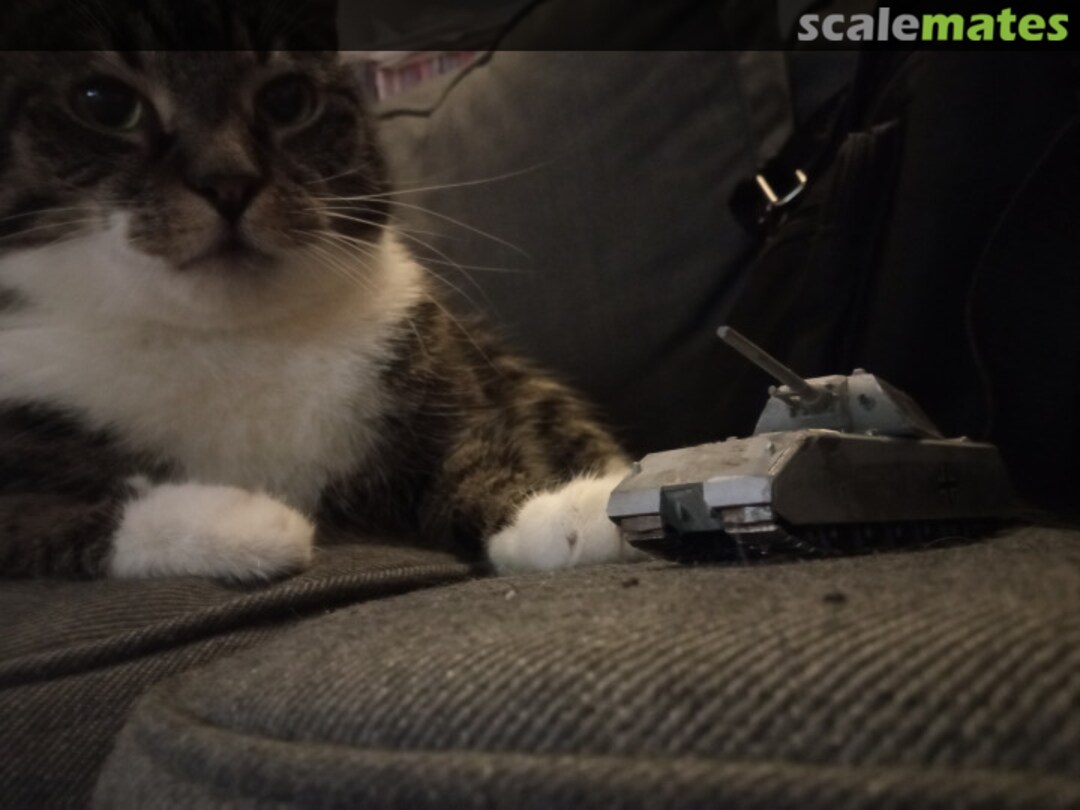 View album, image #3 View album, image #3