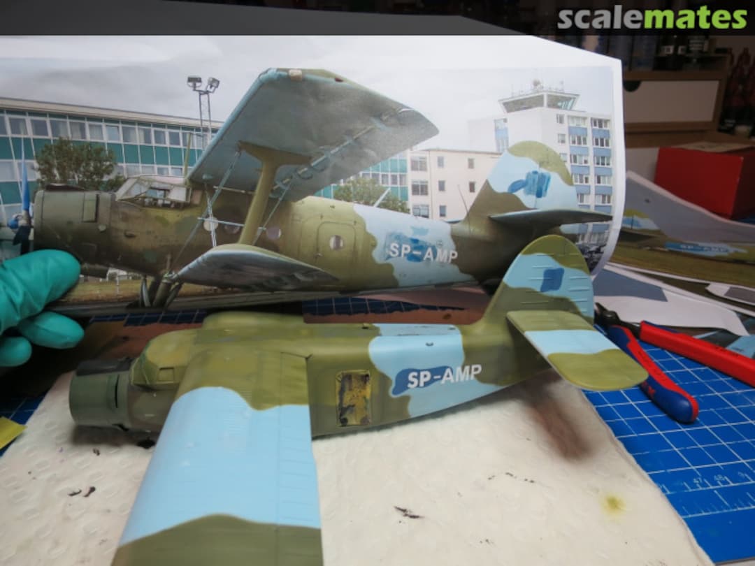 View album, image #97 View album, image #97