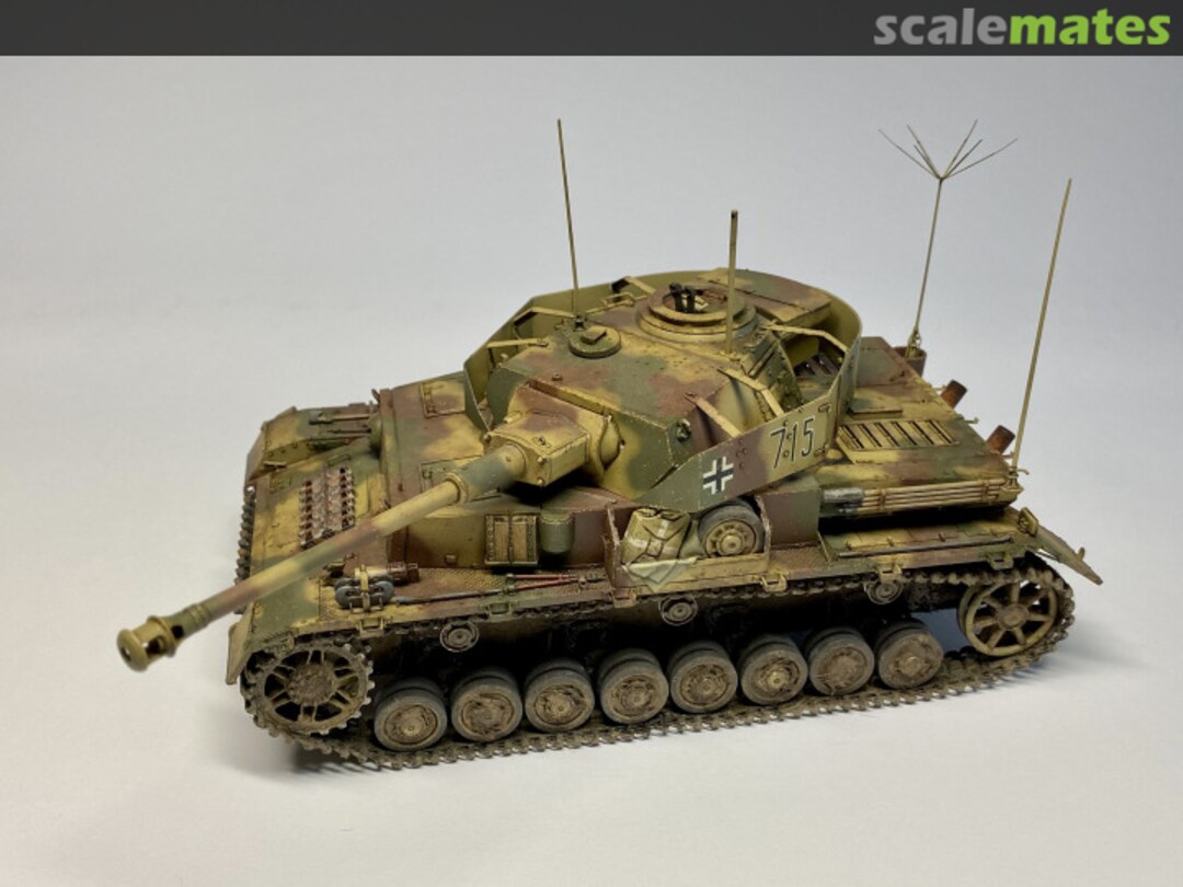 View album, image #1 View album, image #1