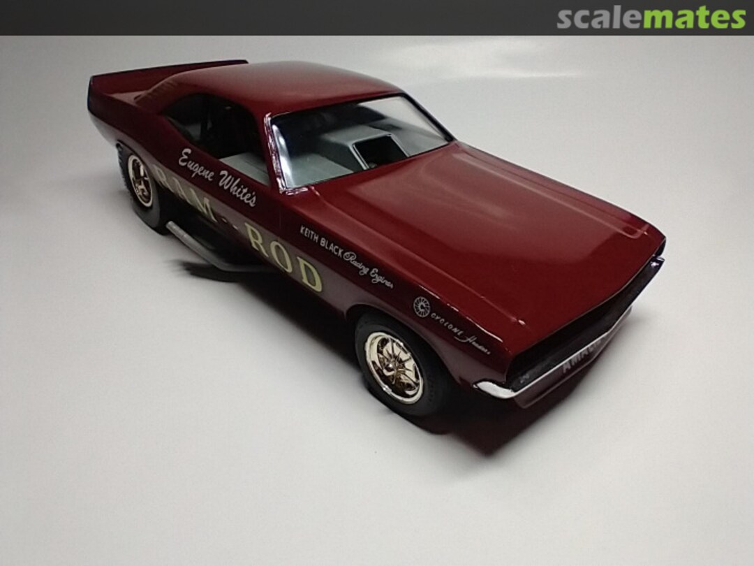 View album, image #1 View album, image #1