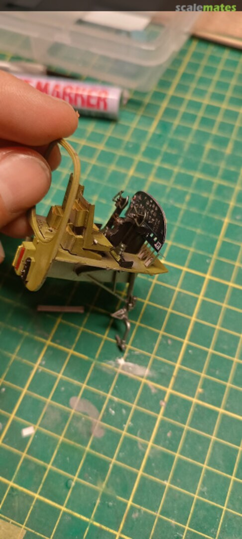 View album, image #1 View album, image #1