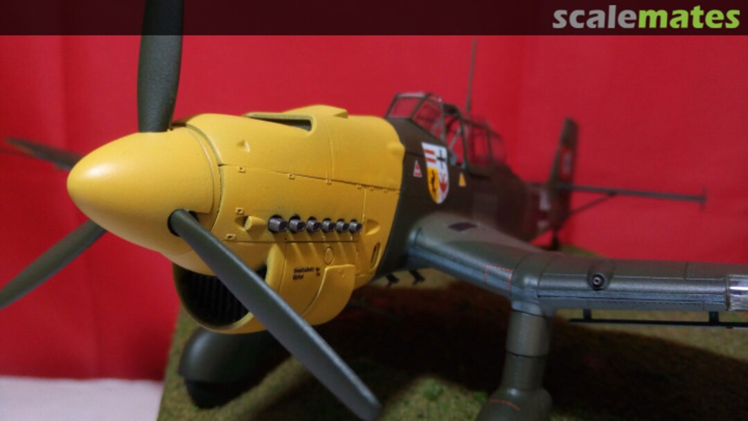 View album, image #1 View album, image #1