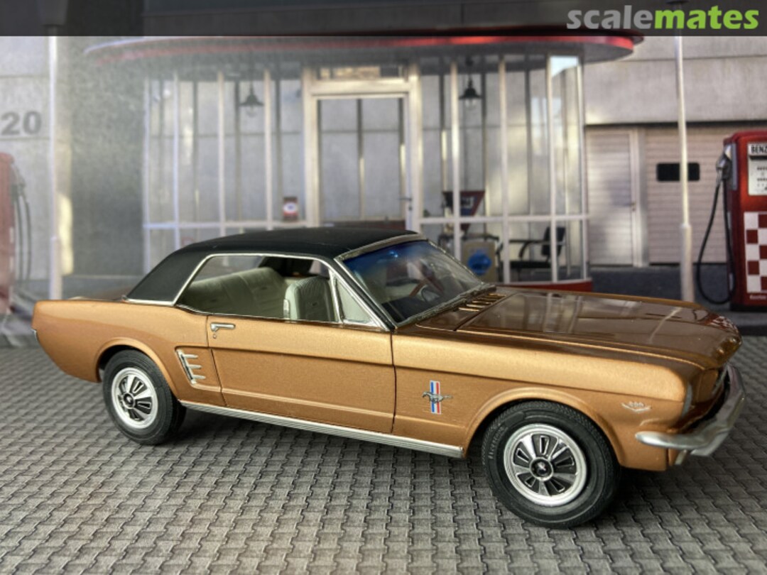 View album, image #3