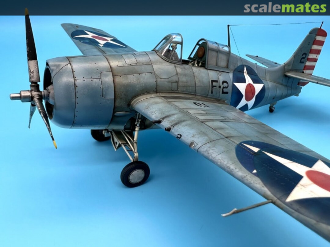 View album, image #1 View album, image #1