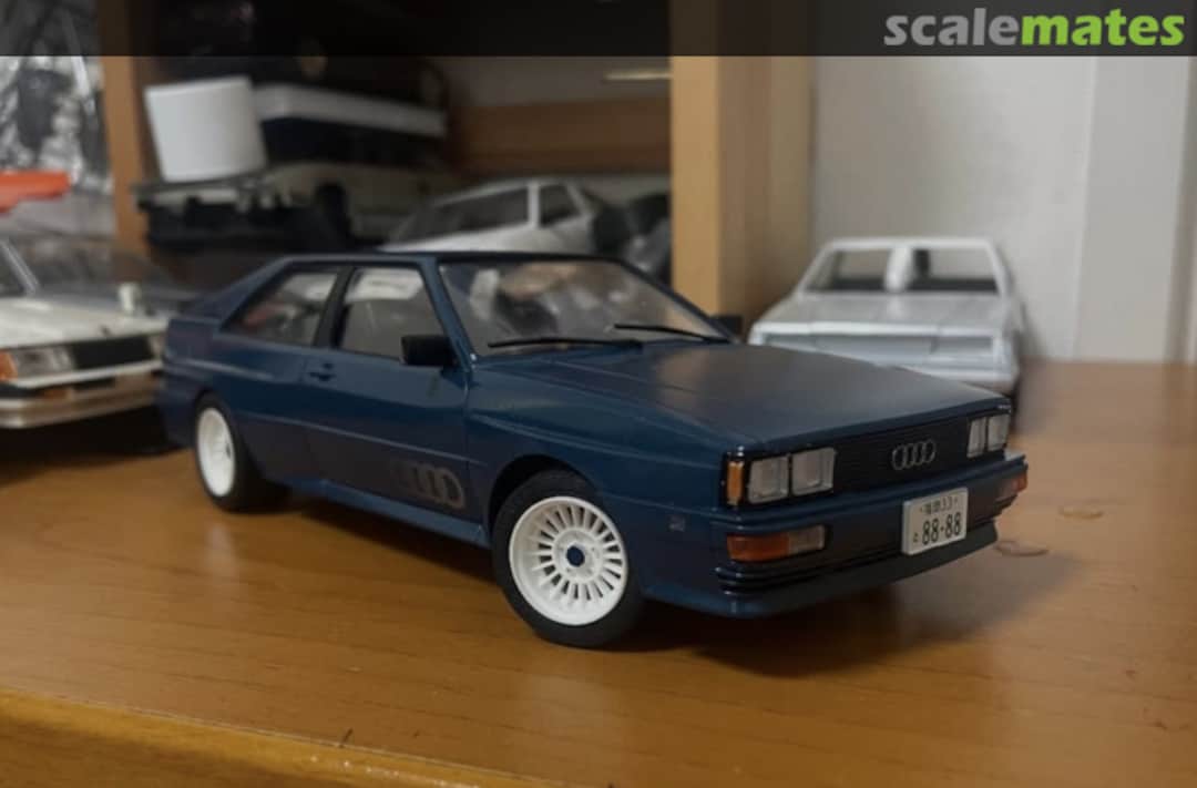 View album, image #1 View album, image #1